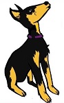 Angelthe MinPin is Howling Proud for a Great Deal on a Domain and Website